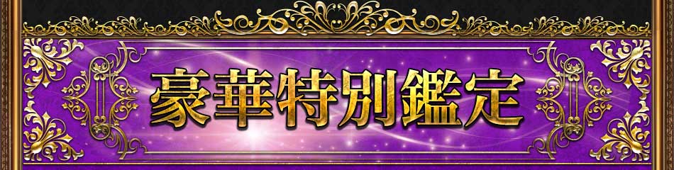 豪華特別鑑定